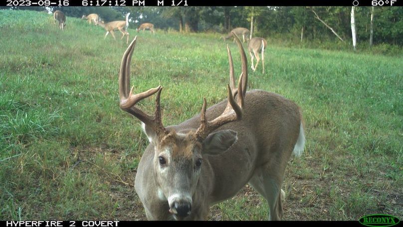 2023-09-16 18-17-12 M 1_1 (1)