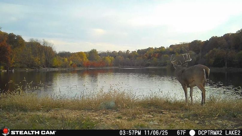 2025110615574301001501_ColorizationType.none