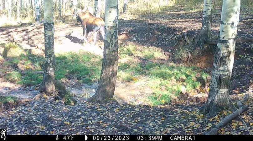 IMG_0067 - frame at 0m1s