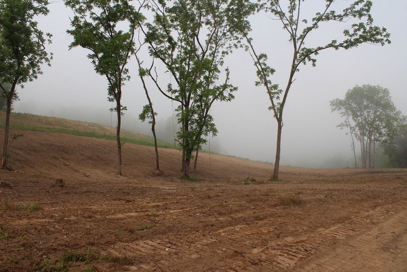 007 the morning fog yet to lift off of the newly graded fields