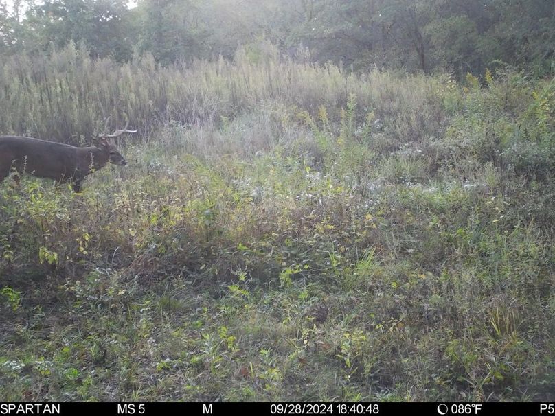 File Oct 09 2024, 7 28 28 PM (1)