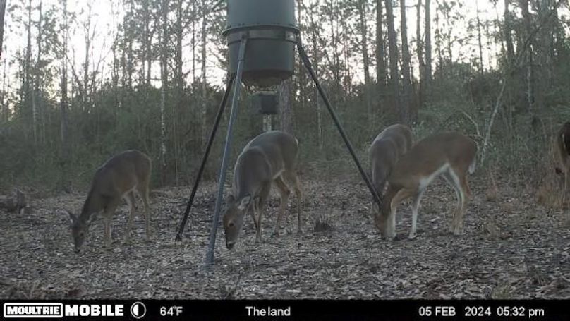 image638476366452466165