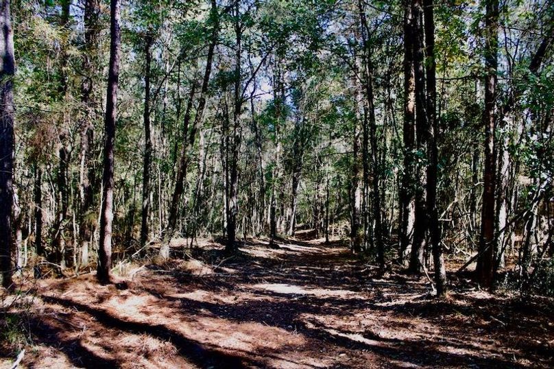 354FCAD8-6959-4E11-860F-F253B284E348_1_105_c