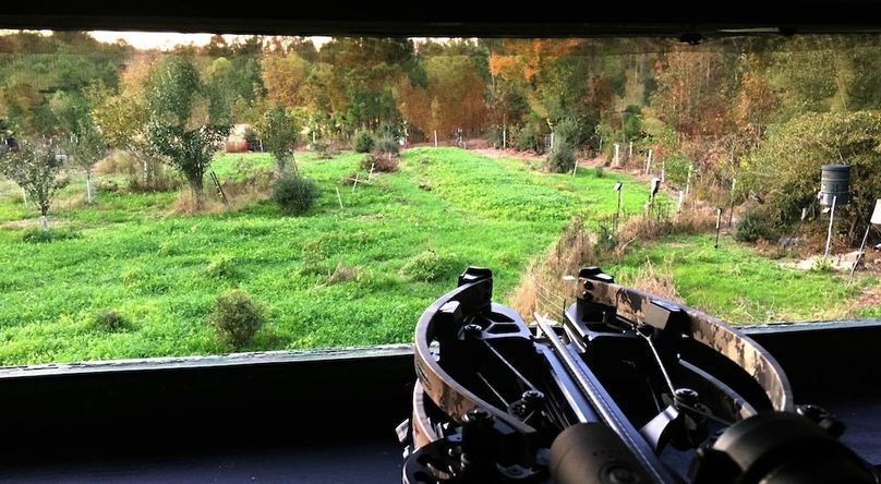 Blind view of foodplot3