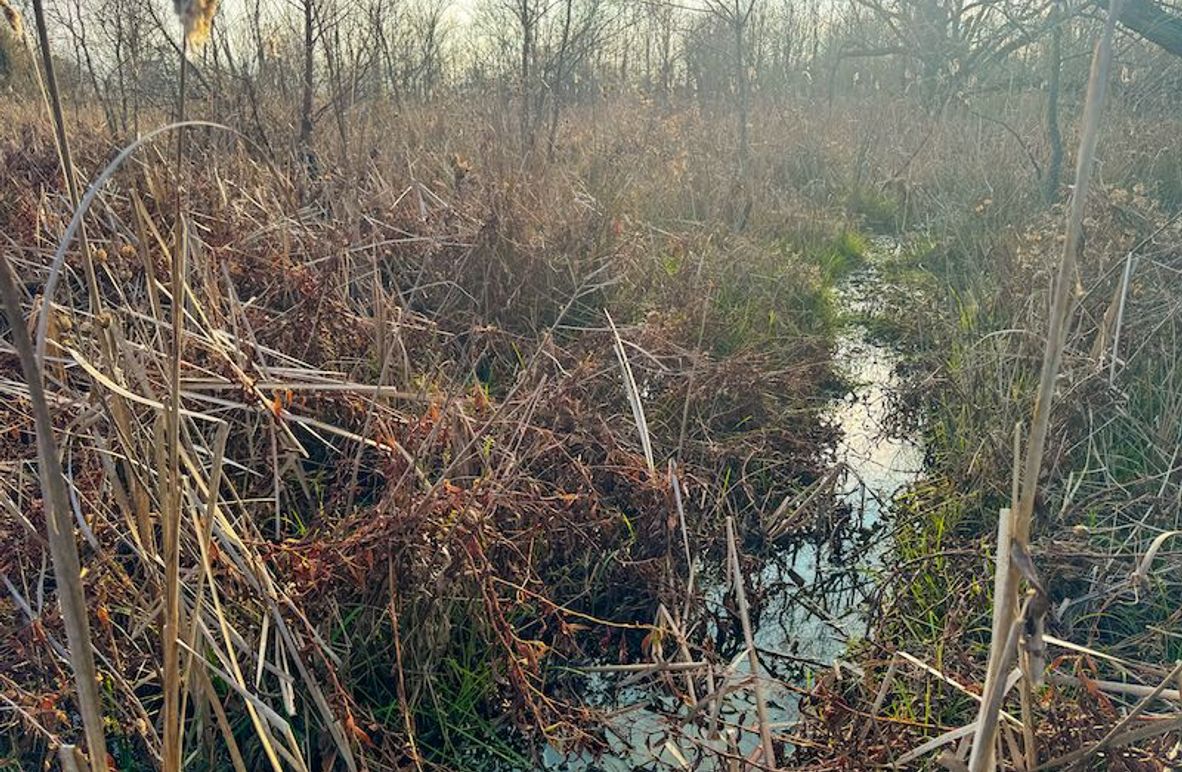 Monroe 80 Driver Dixon (Final Frontier) -04