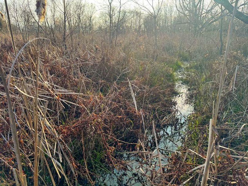 Monroe 80 Driver Dixon (Final Frontier) -04