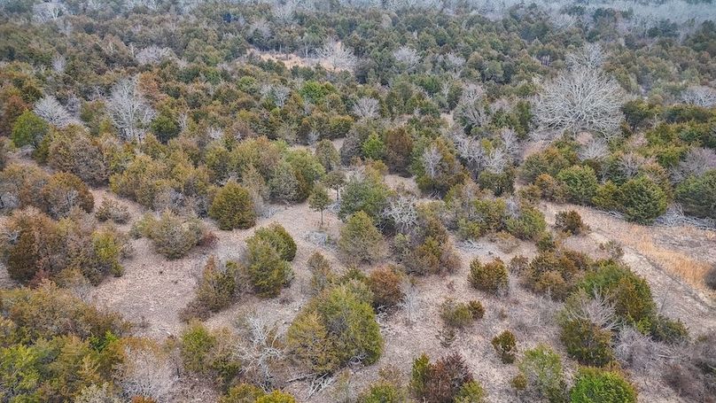 DJI_20250204235114_0076_D