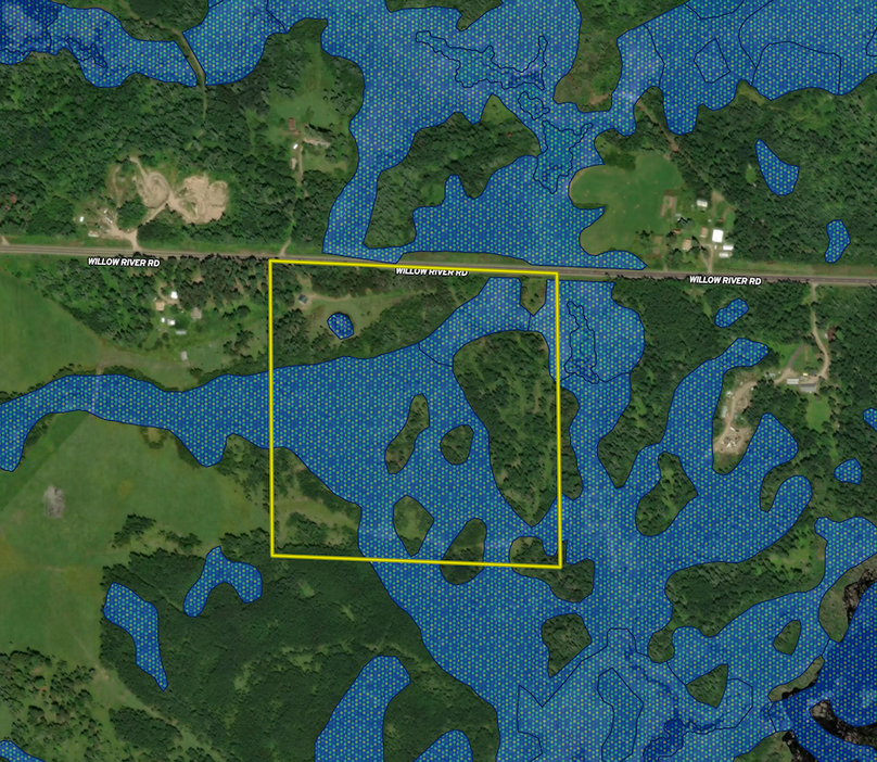 10846 Willow River Rd. wetland layer 