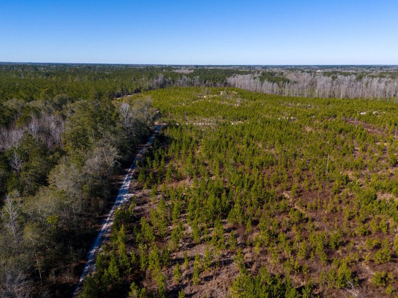 Pender NC 382 - Edits-18