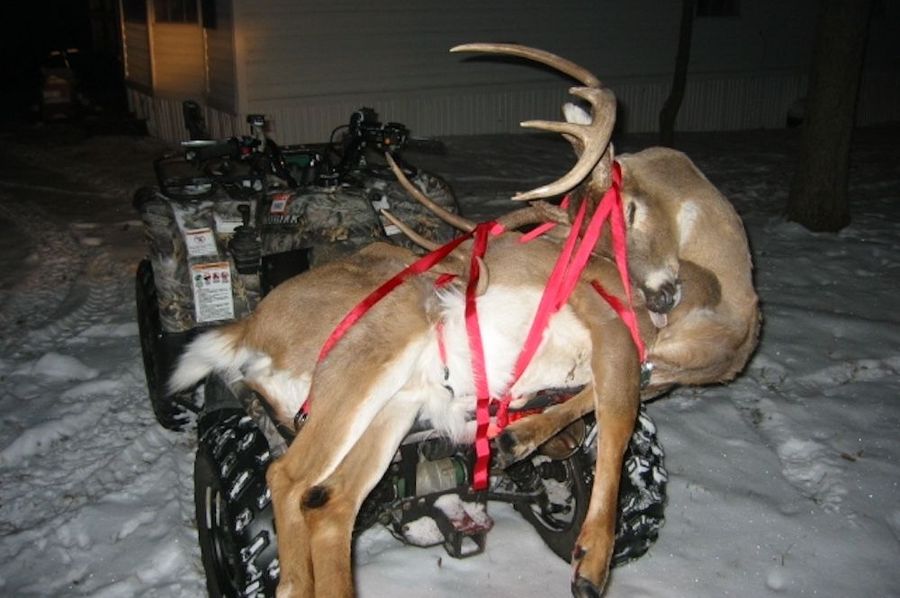 ATV Buck