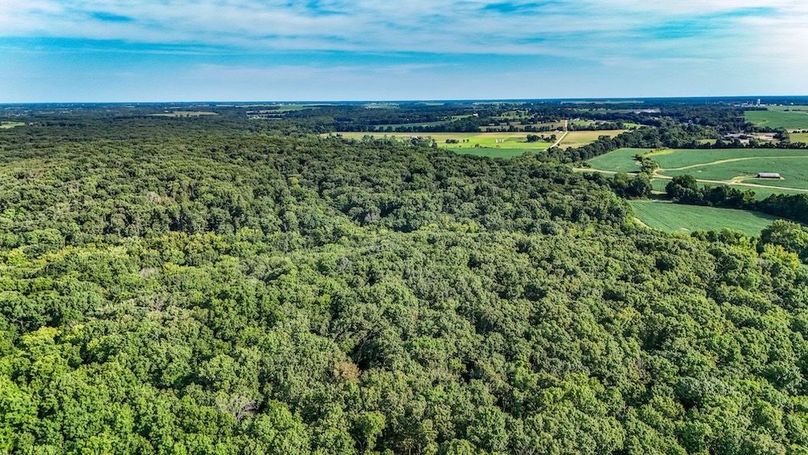 DJI_20250729081827_0113_D