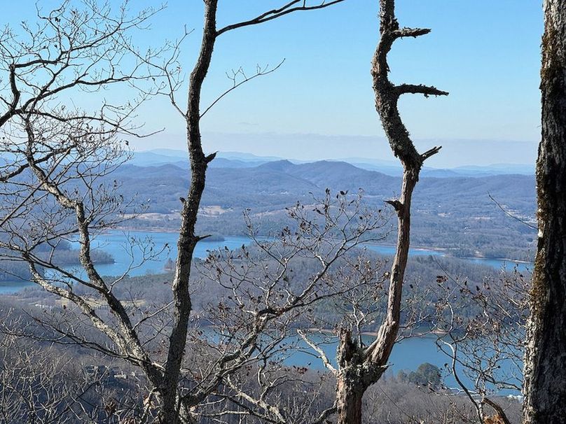 Clay 124.76 Fleaback-01