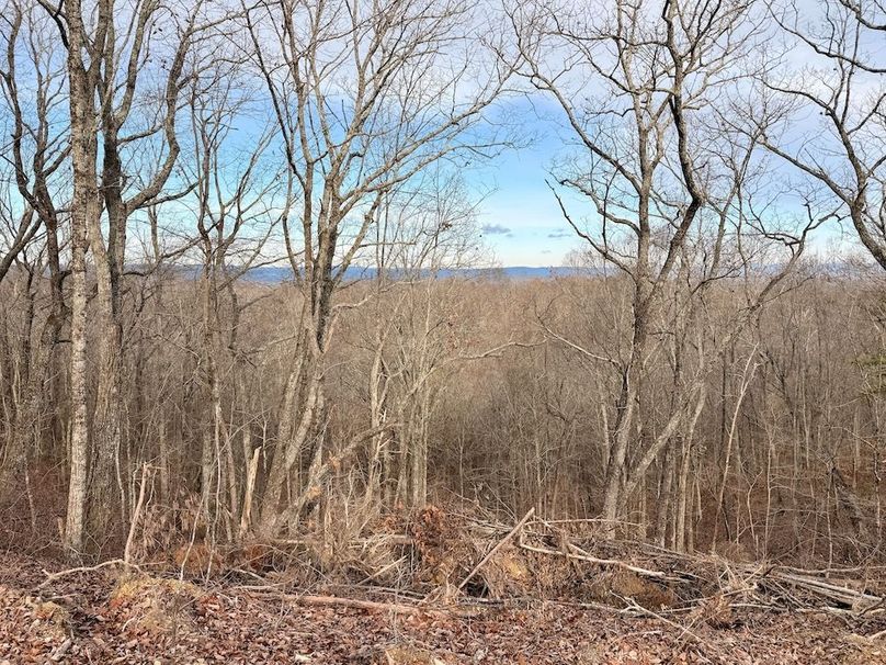 Roane Co TN 396 20251127_74