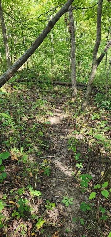 382441688_707738421198674_5511634113666554492_n