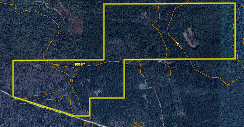 Screen Shot 2025-09-12 at 4.20.15 PM