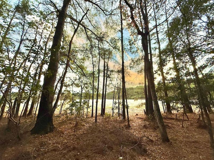 F290D8A7-0C97-48A6-929B-8F4235447A18