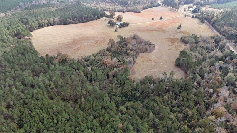 DJI_20251120002323_0920_D