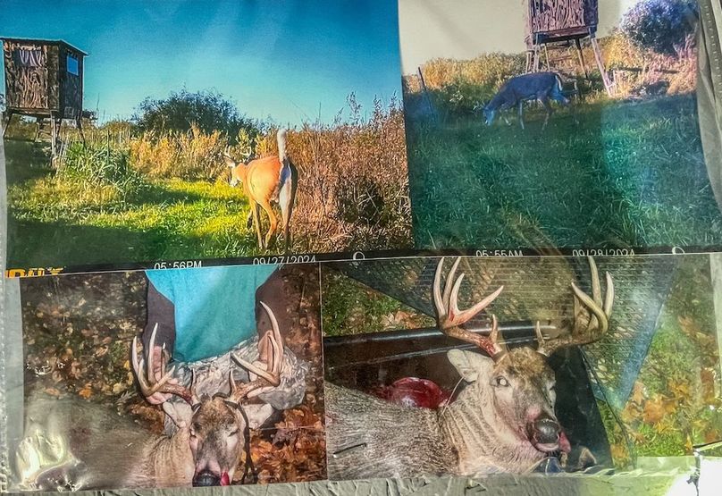 Clark 24.75 Winkel -08