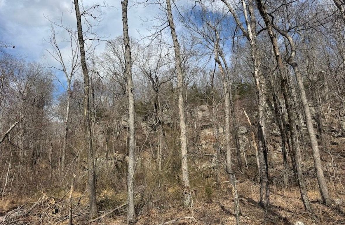 stone8020260306_0073