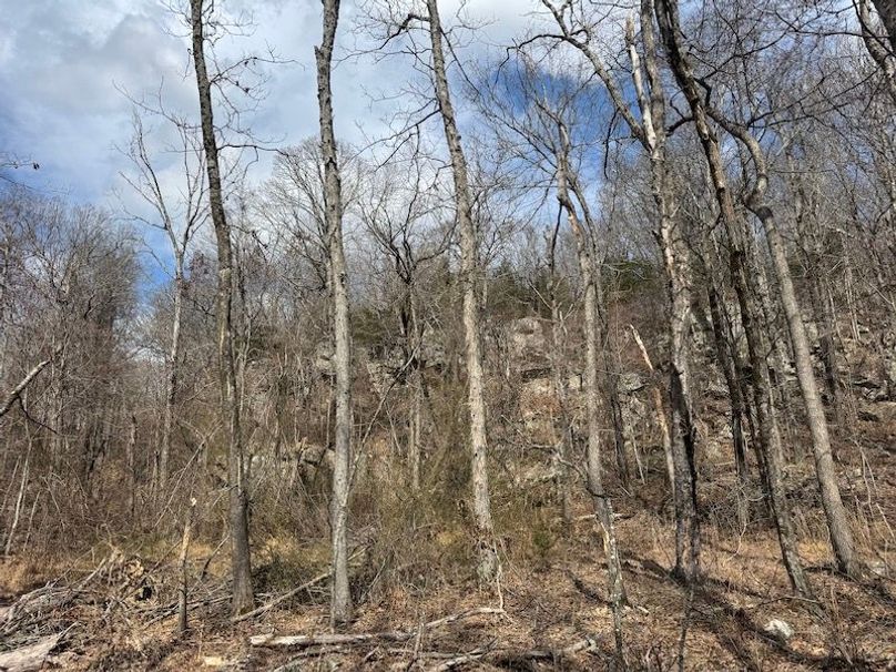 stone8020260306_0073