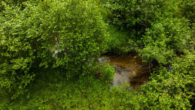 Ogemaw MI 475 Featured Pro Photo-0196