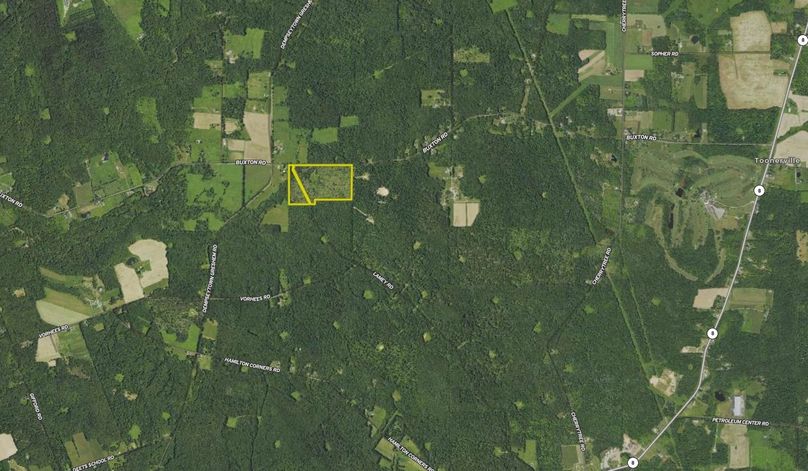 Screen Shot 2024-02-12 at 3.24.31 PM