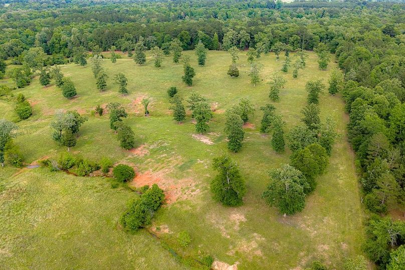 Holman Ranch-42