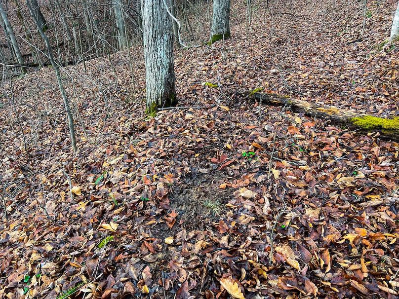 Calhoun, WV 225.69 AC Duffield-62