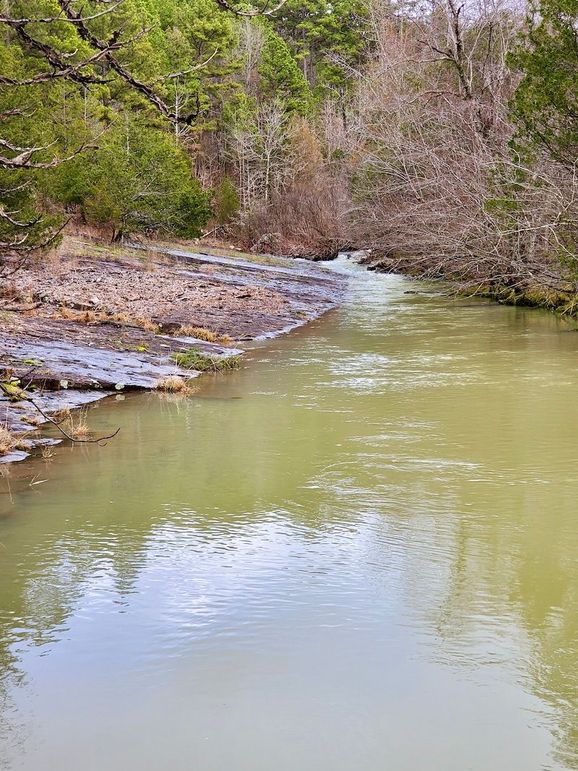 creek2