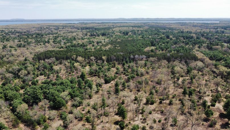 dji_fly_20230511_113934_444_1683838307685_photo_optimized