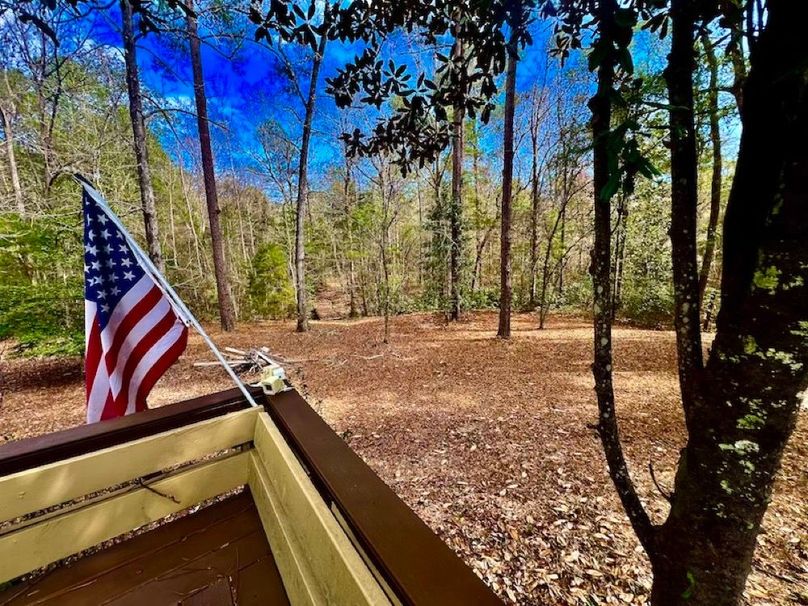 9C890CC1-4655-4742-964D-1FBD829412DF_1_201_a