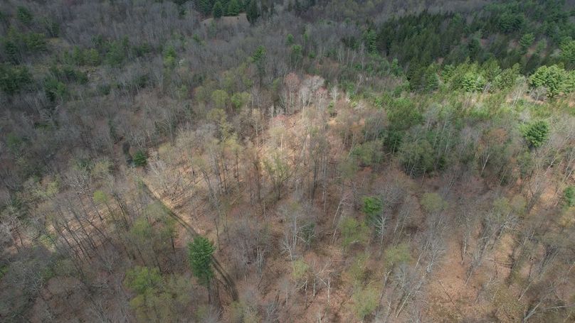 dji_fly_20260416_130152_246_1776359333290_photo