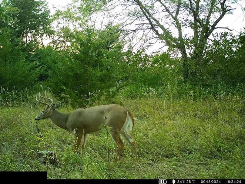 Trail Cam 1.5