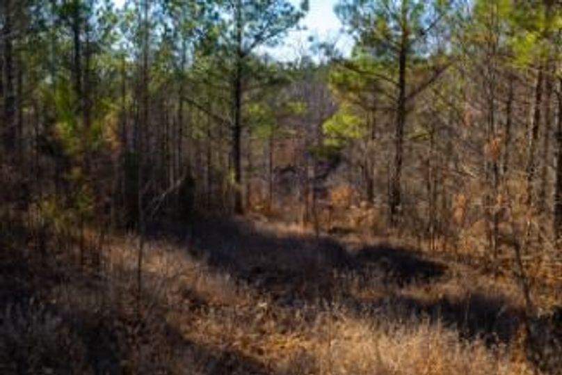 MCKINNON TRACT 29-07