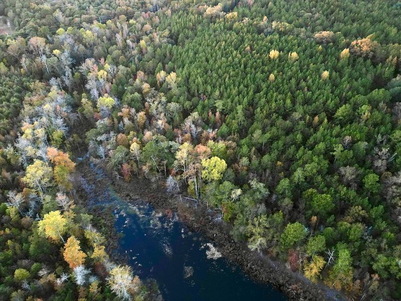 dji_fly_20251103_174030_419_1762260604528_photo