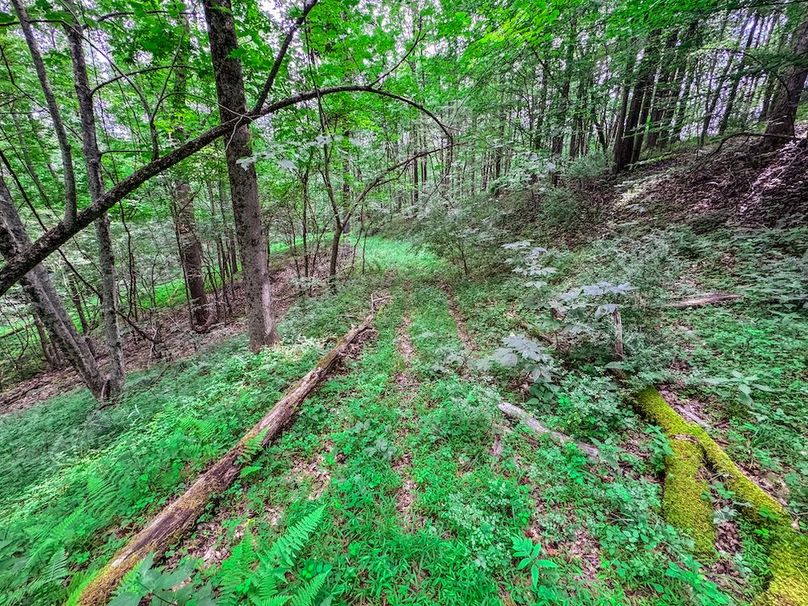 Doddridge, WV 15.68 AC Bonnett-71