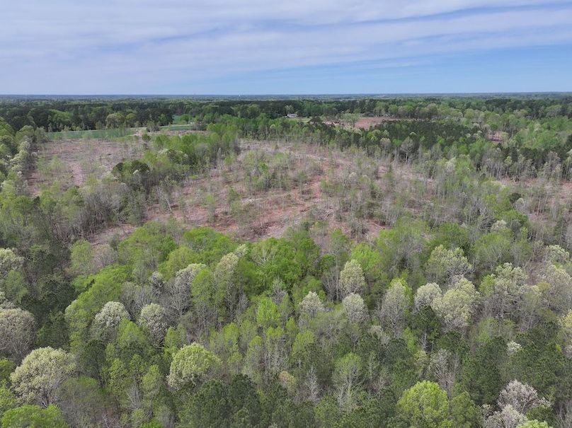 DJI_20260317095331_0593_D