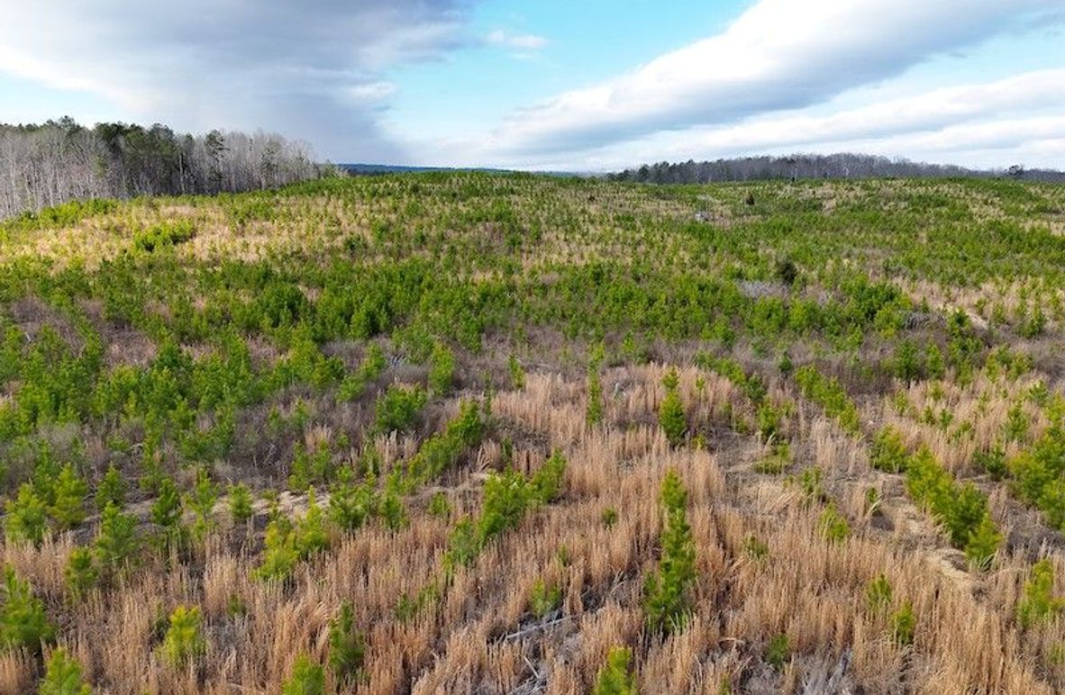 DJI_20260303144355_0003_V