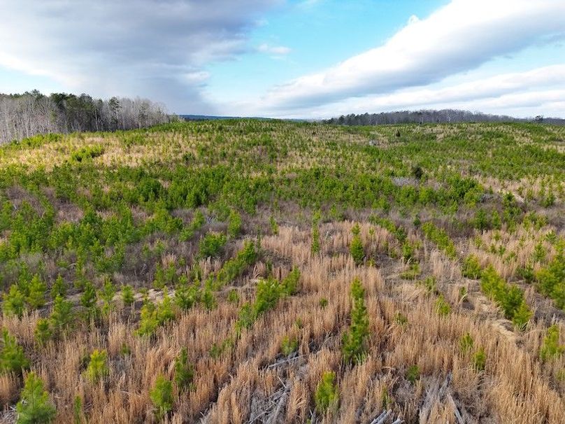 DJI_20260303144355_0003_V