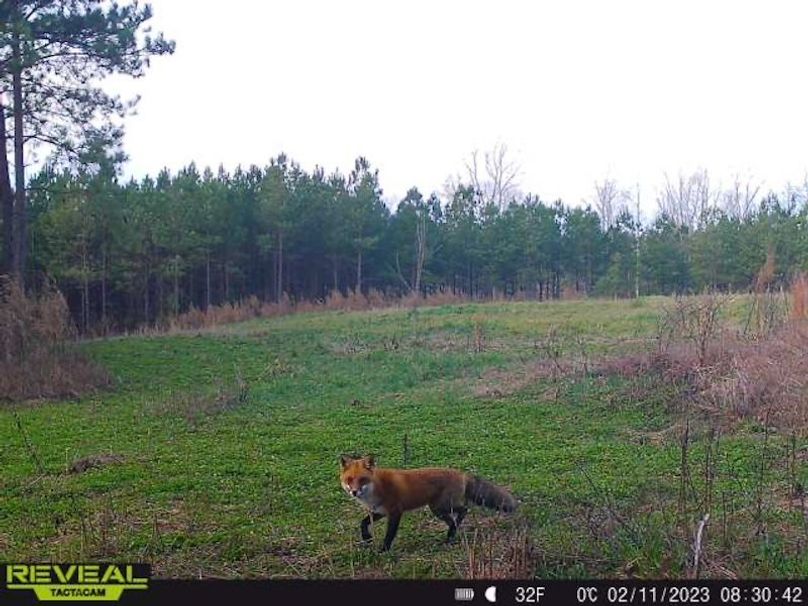 861107034983370-90-5-02112023083042-W1001107