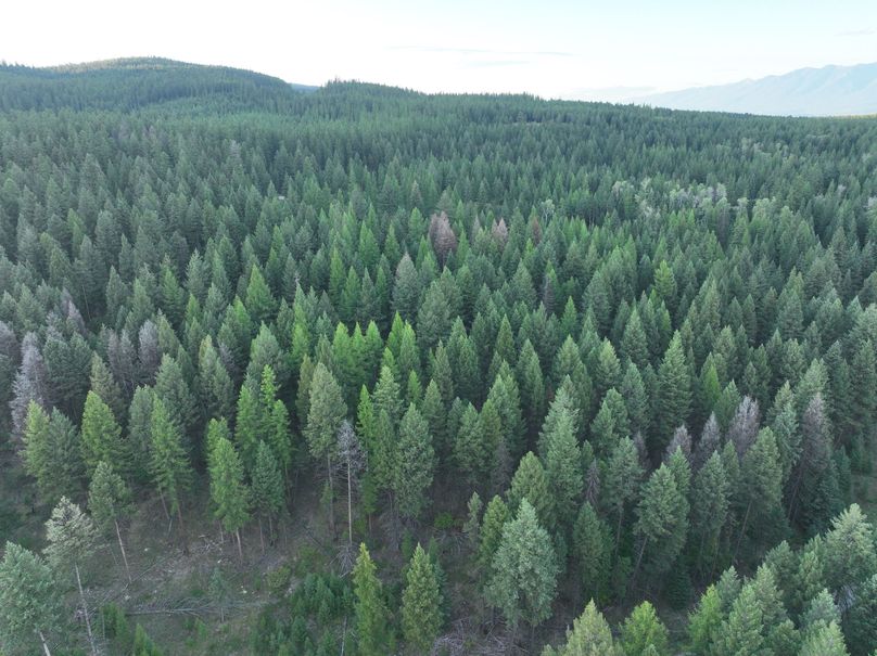 DJI_0587