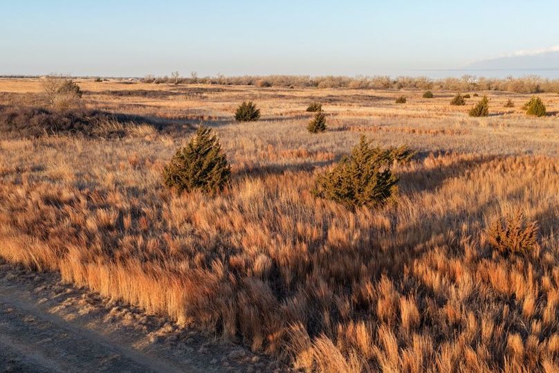 DJI_20260311082645_0539_D