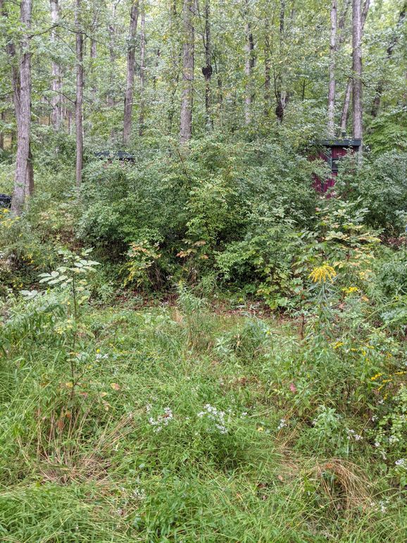 PXL_20230909_201651055