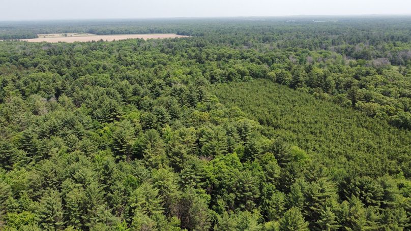 dji_fly_20230610_115014_585_1686416629579_photo_optimized