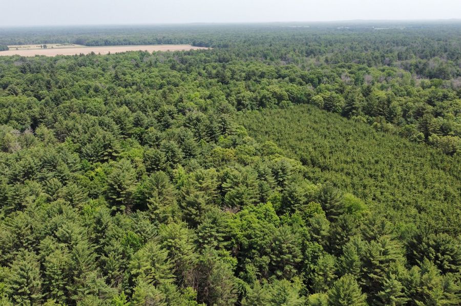 dji_fly_20230610_115014_585_1686416629579_photo_optimized
