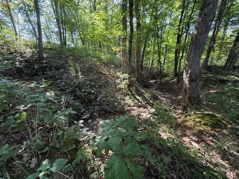 Adair 24.27 Hartsog 6 