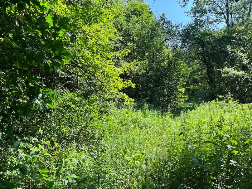 Oswego_24_Frank Photo 48