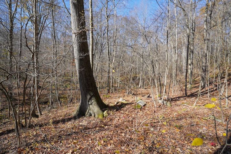 Somerset, 10.91, Tinkey-27