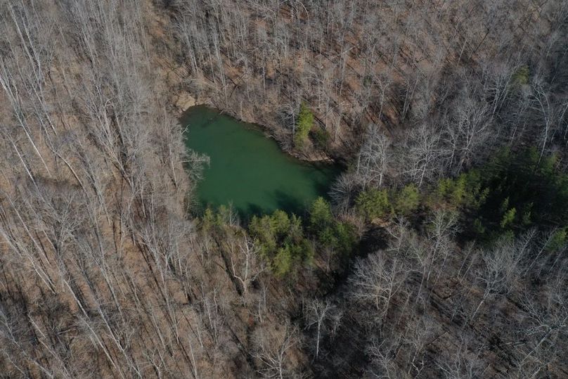 012 look at that sparkling green pond along the southwest boundary