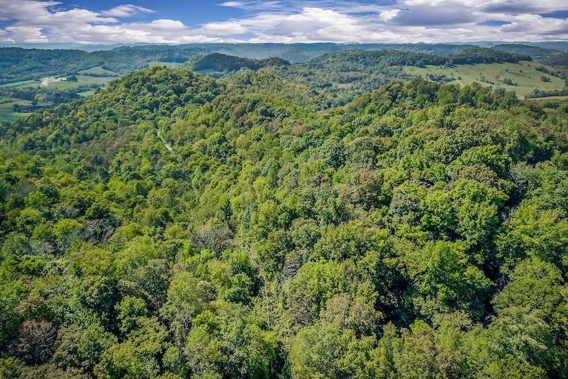 DJI_20251003134131_0048_D